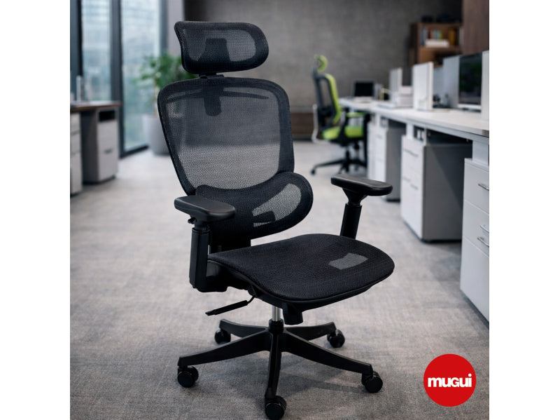Silla ergonómica Valencia VAL-188-QW (PREVENTA)