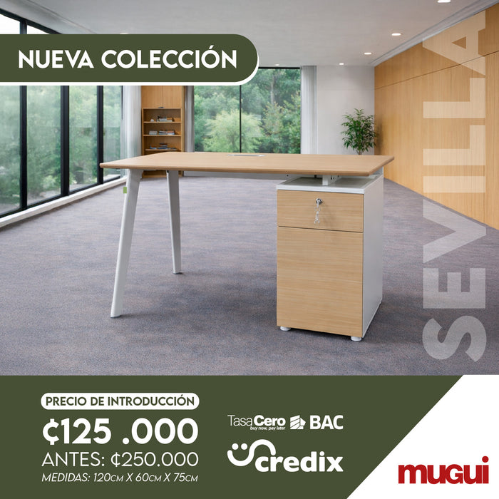 Escritorio de 120cm Sevilla OZ410212