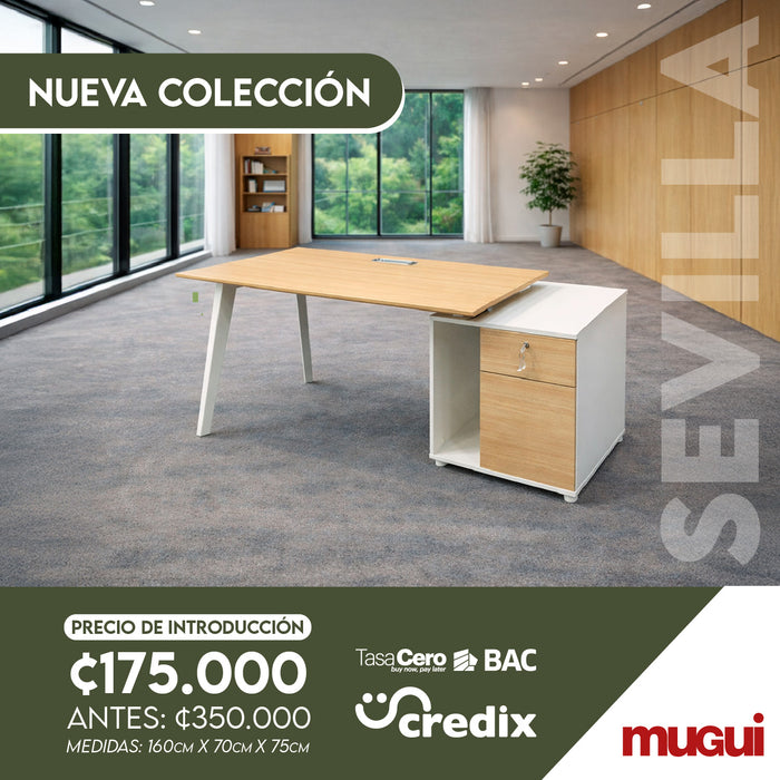 Escritorio de 160cm Sevilla OZ410416