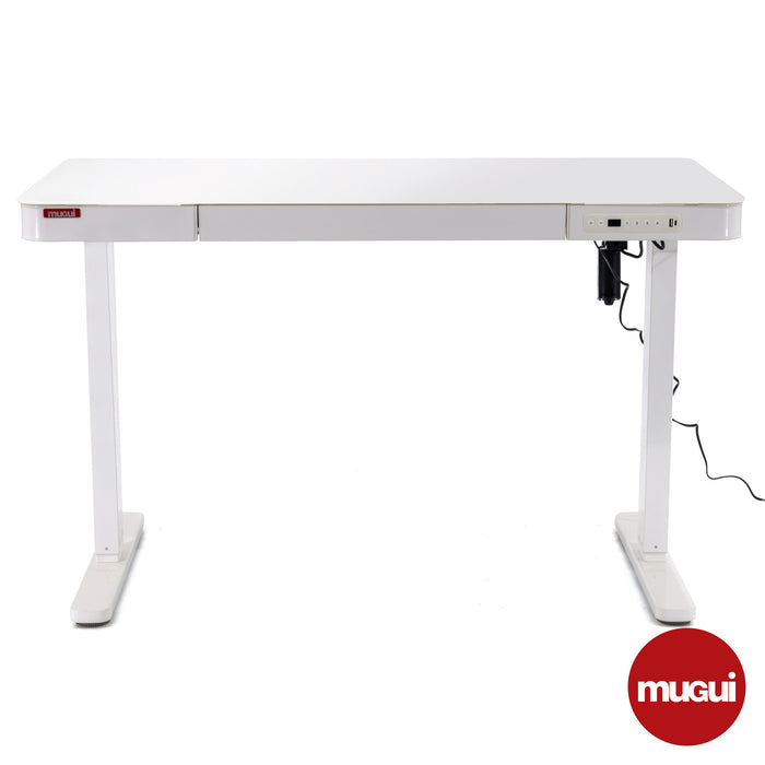 Escritorio ajustable de 120cm STL-GK01