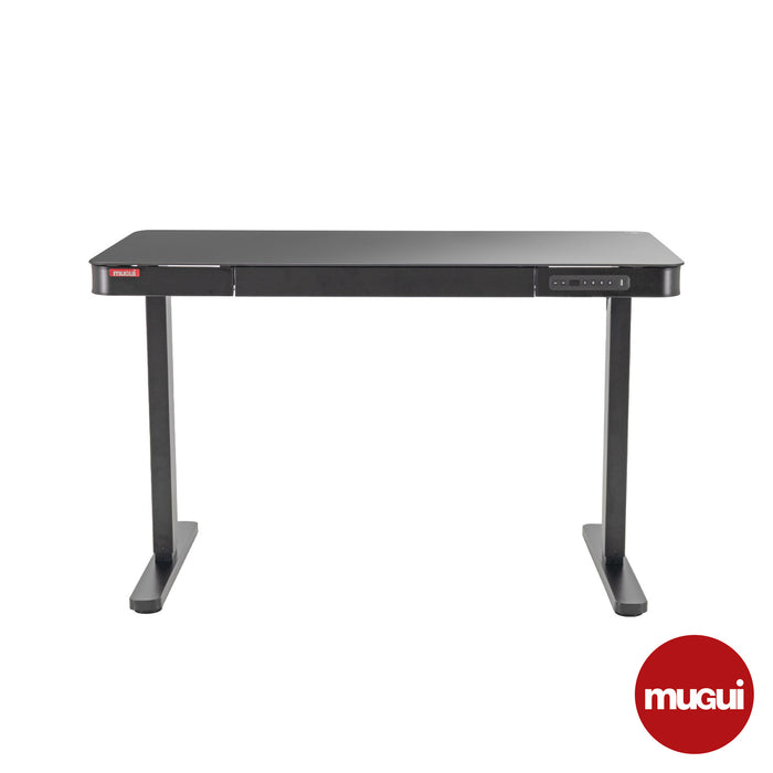 Escritorio ajustable de 120cm STL-GK01